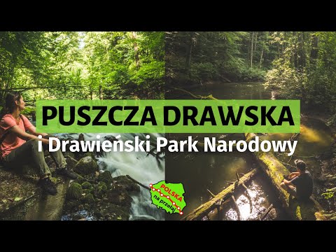 Stars and mysterious ruins on the Drawa River. The WILDEST part of Northern Poland 🛶 / Polska Na ...