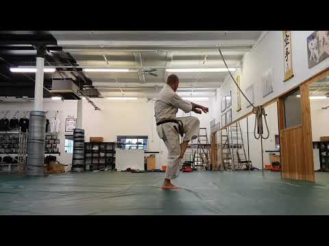 Bujinkai Kata:  Shinho