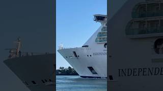 Independence of the Seas 🛳️ #cruiseship #cruise #vacation #shorts #like #share #comment #subscribe