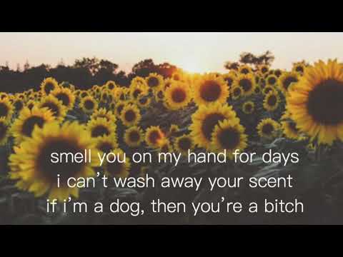 Butterfly - Weezer {Lyrics}