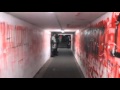 Walking the players tunnel at 