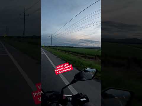 VAMOS PARA PRIMAVERA BOLIVAR VALLE DEL CAUCA