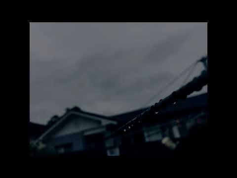 Dallas Woods - Hoodlum