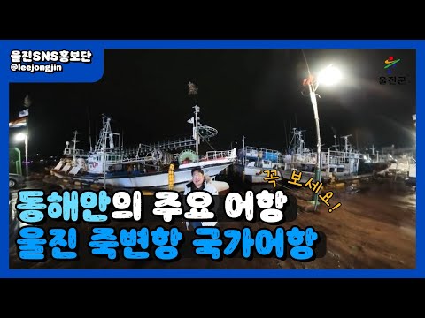 동해바다! 수산물이 풍부한 국가어항 :: 울진SNS홍보단 :: 울진군청