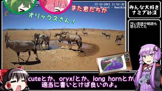 2021年末のナミブ砂漠観察