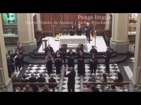 Pange lingua (Anton Bruckner)