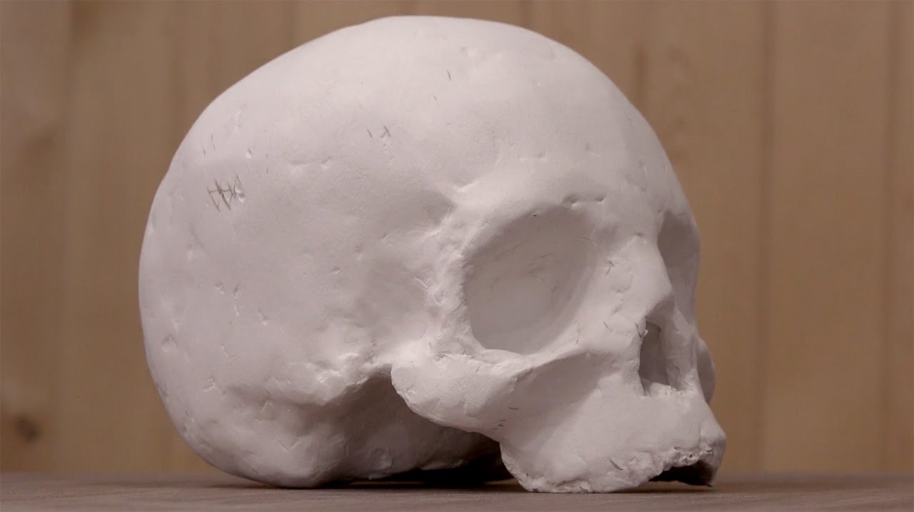 Laser Tutorial: 3-D Human Skull | Make Something