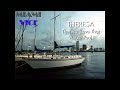 Jan Hammer - Theresa (Love That About You)
