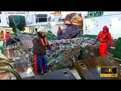 Life On Germany's Most Advanced Deep-Sea Trawler | Inside A Floating Seafood Processing Plant
