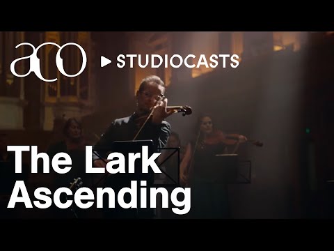 The Lark Ascending | Ralph Vaughan Williams | ACO StudioCasts | Australian Chamber Orchestra