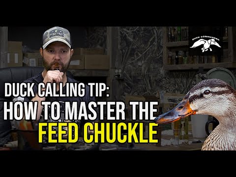 How to Make a Mallard Feeding Call | Duck Calling Tips and Tricks