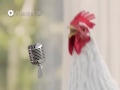 Cock Dance