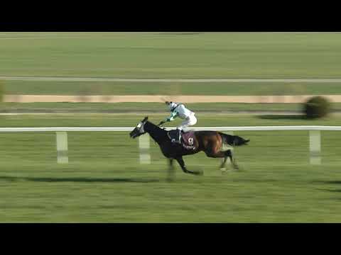 2. dostih - Cena spol. Dibaq a.s. - výrobce značky Fitmin - dostihy Chuchle Arena Praha 21. 11. 2020