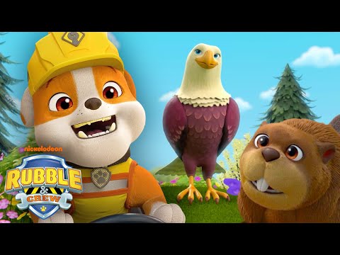 Rubble Rescues Builder Cove's Animals! w/ PAW Patrol Chase | 1 Hour Compilation | Rubble & Crew