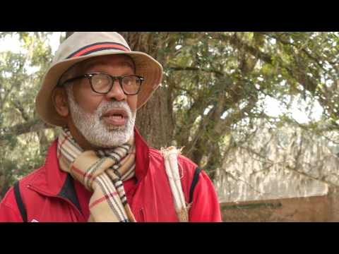 download lagu mp3 mp4 Carolina Plantation Rice Recipe, download lagu Carolina Plantation Rice Recipe gratis, unduh video klip Carolina Plantation Rice Recipe