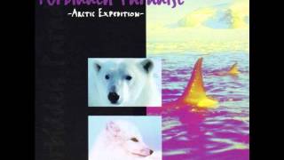 Forbidden Paradise 5 - Arctic Expedition (1996 DJ Tiësto mix)