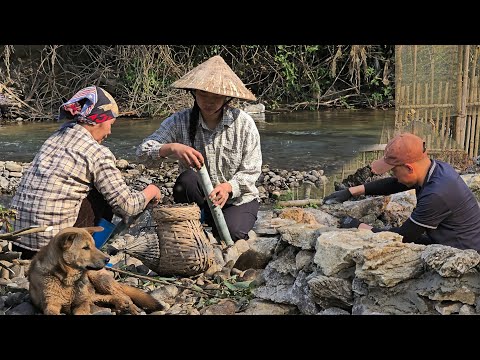 Nam and Lien have started building a kennel for the puppies. When will they finish?