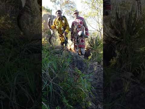 DR 2+2 NEKOPAKOPA YOPHONDO