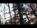 Ana Torroja - Disculpa (Lyric Video) 