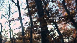 Ana Torroja - Disculpa (Lyric Video)