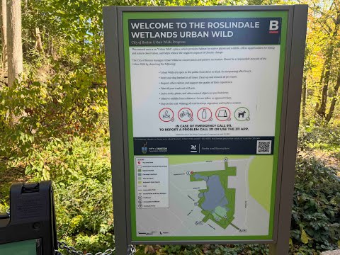 Roslindale Wetlands Urban Wild - LOOP Walk - Oct 17, 2025
