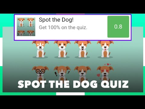 YouTube video about: Should this dog be called spot answer key?