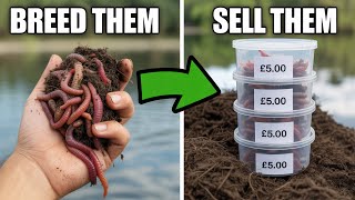 Low-cost Fishing Bait Business From Home UK | Easy Side Hustle 2026 Business: Kit, Rates & Sales Tips (UK) - low-cost business idea