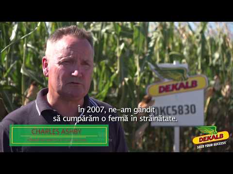 Porumbul DEKALB - DKC5830 in ferma ISOLDE FARMS SRL - interviu Charles Ashby