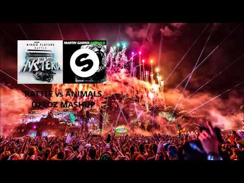 Rattle VS Animals (Bingo Players - Martin Garrix) - DJ Loz Mashup