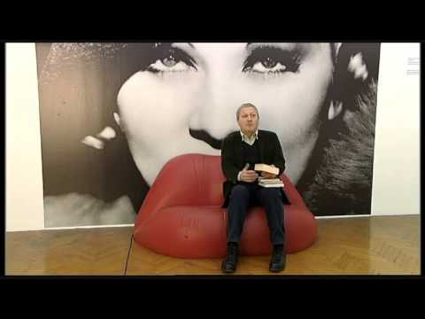 Šta čitam Dragan Velikić Metropolis (RTS)