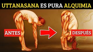 El Secreto del Pliegue Prohibido que Libera tus Isquiotibiales y Despierta tu Energía Vital