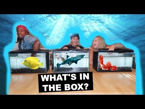 WHAT'S IN THE BOX CHALLENGE! (UNDERWATER EDITION) Ft. GOTDAMNZO