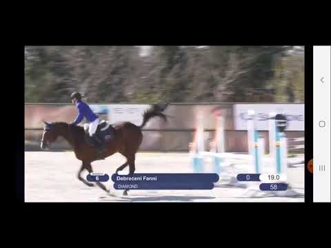 Diamond (Diarado's boy x Akitos)