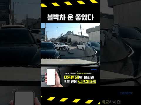 #5407. 다행히 블박차는 멀쩡하대요 #shorts