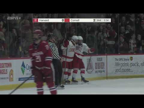 Highlights: Cornell Men's Ice Hockey vs Harvard - 1/24/2025