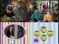 PBS Kids Program Break 2002 WNPT