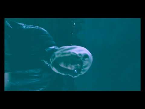 wilf merson x bknd - "first team" | MUSIC VIDEO