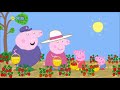 Peppa Pig Berry World Strawberries
