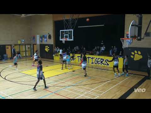 back 2 the start vs new york stallions - saturday video (fixed)