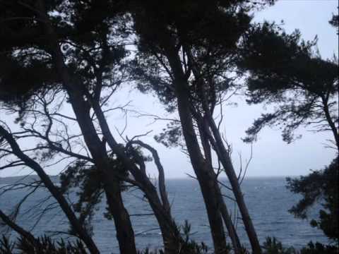 Klapa "Cambi" - "Na me pogled tvoj obrati"