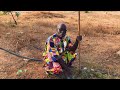 Wau Wau Collectif Mouhamodou Lo And His Children Music Video