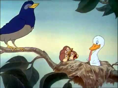 Brzydkie Kaczątko  bajka dla dzieci