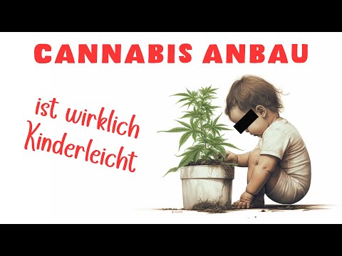 , title : 'Cannabis Anbau ist KEIN Hexenwerk - Mein erster Grow (mit Bildern)'