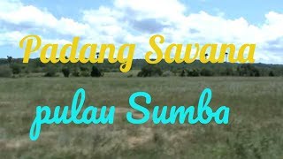 preview picture of video 'Padang Savana  Pahunga Lodu  \ Sumba Pulau Terindah dunia'