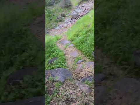 trail from our campsite to private creek access.