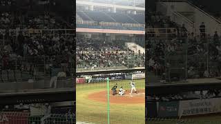 【TeamTaiwan】#林岳谷應援 #賴可 #維心 #芃芃  #冬季聯盟@斗六棒球場 20241130 #台湾チア #cheerdance #cheerleader #cpbl #awb