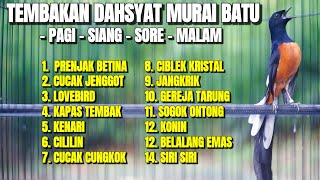 Download lagu TEMBAKAN MURAI BATU COCOK BUAT MASTERAN PAGI SIANG SORE 100% AMPUH BIKIN LAWAN IKUT BONGKAR ISIAN mp3