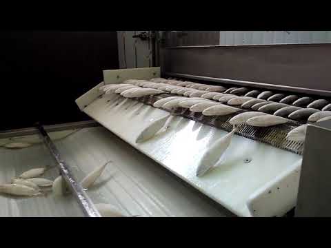 Ramtech stainless steel iqf freezer for seafood, electric, a...