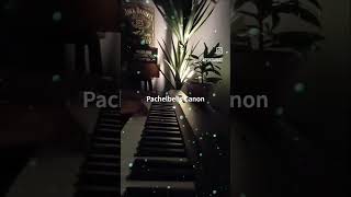 Download lagu Pachelbel's Canon  #pachelbelcanon 　#piano　#pachelbel　 #pianocovermusic　 #pianomusicforsleep　#電子ピアノ mp3