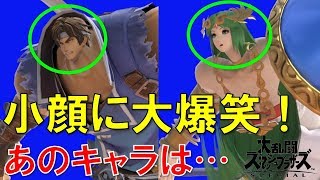 【スマブラSP裏技バグ】全74キャラの小顔バグで大爆笑！撮影方法も詳しく解説！